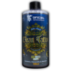Clean Tattoo Concentrado GT 500ML