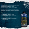 Clean Tattoo Concentrado GT 500ML - Image 2