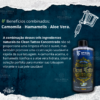 Clean Tattoo Concentrado GT 500ML - Image 3